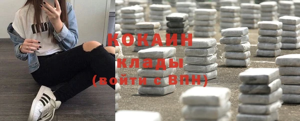 прущие крисы Бородино