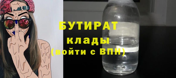 индика Богородицк