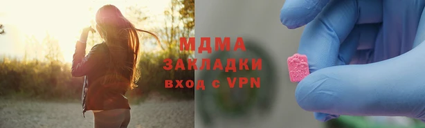 индика Богородицк