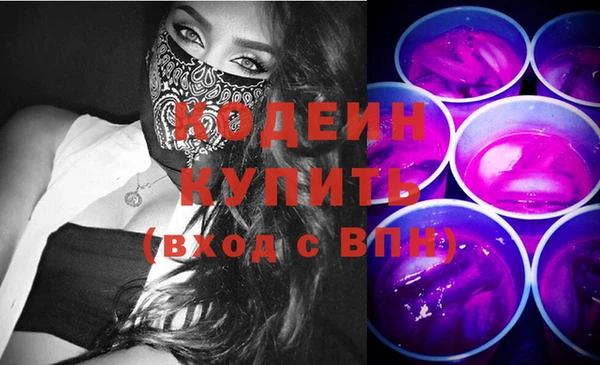 индика Богородицк