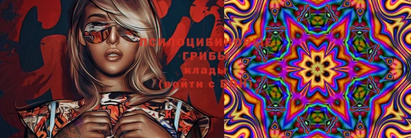 индика Богородицк