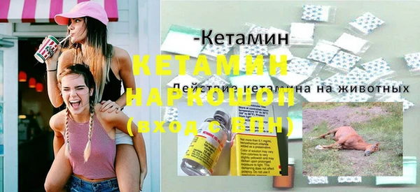 индика Богородицк