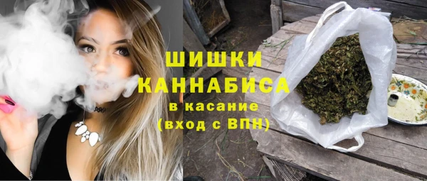 индика Богородицк