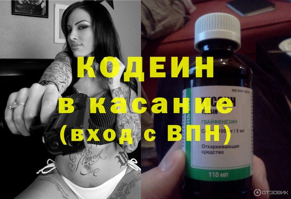 индика Богородицк