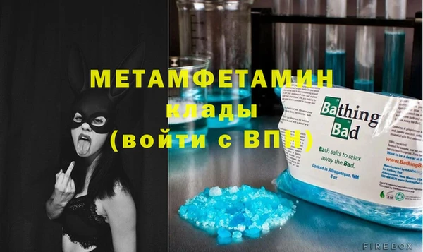 индика Богородицк