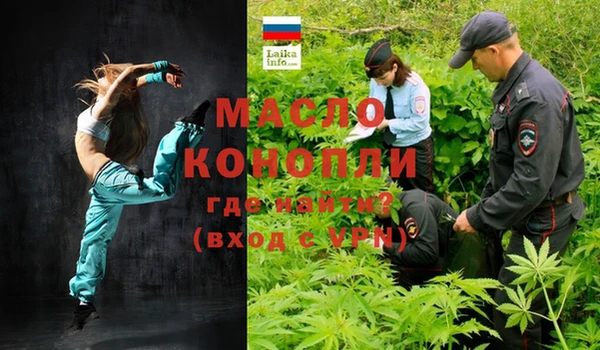 индика Богородицк