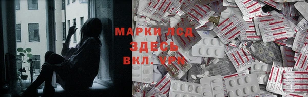 прущие крисы Бородино