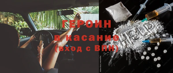 индика Богородицк