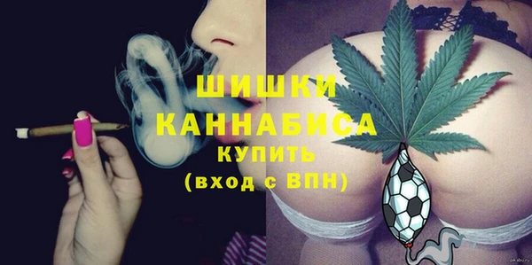 индика Богородицк